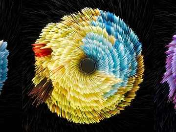 Circadian Rhythms biometric data visualization
